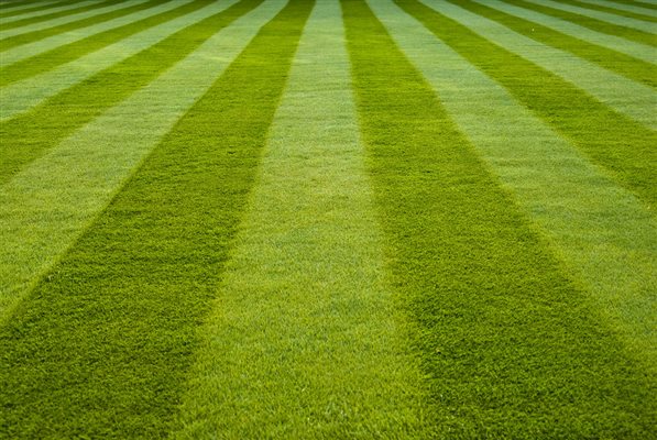 The How to Guide for Striping Your Lawn