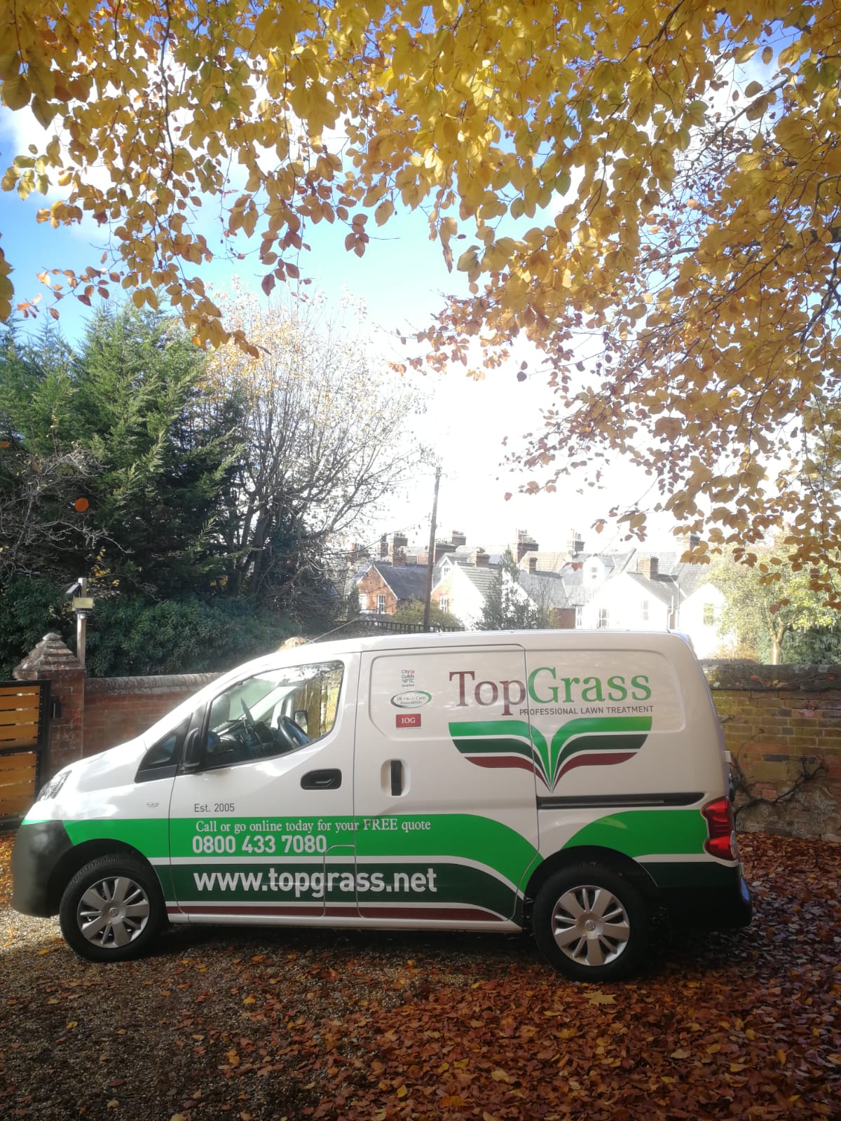 new van autumn 2