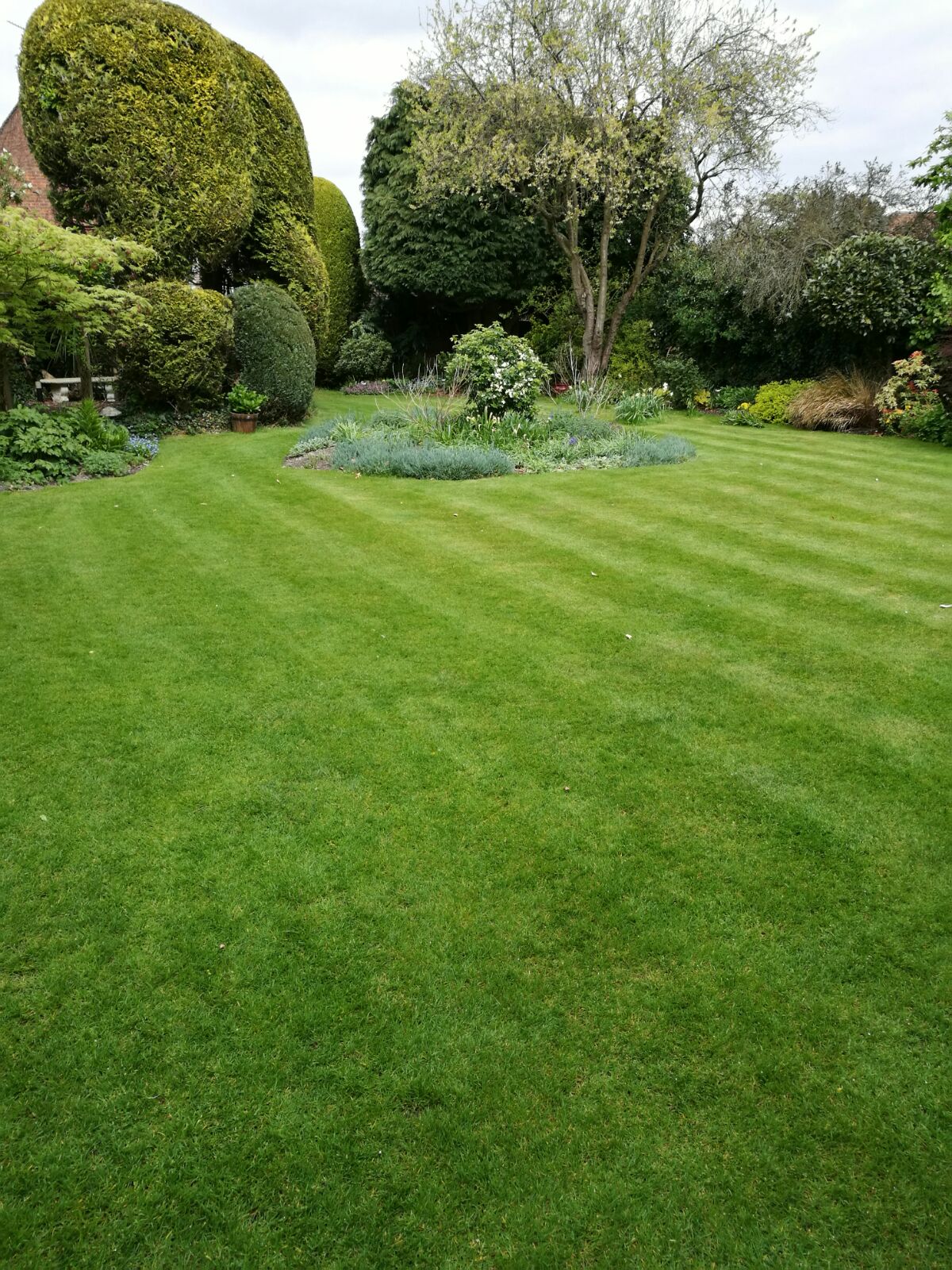 Lawn Care Top Tips - TopGrass