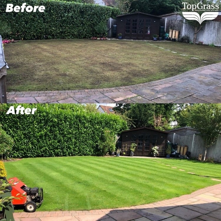 beforeafter 20212022