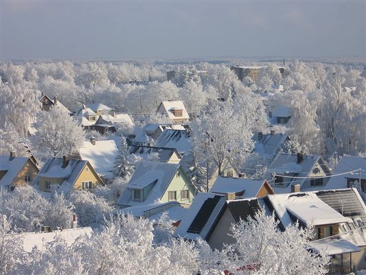 Frost on the Lawns