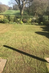 What is lawn scarification and why do I need it?
