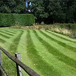 Five Simple Lawn Mowing Tips