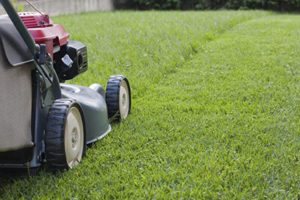 Winter treatment for your grass