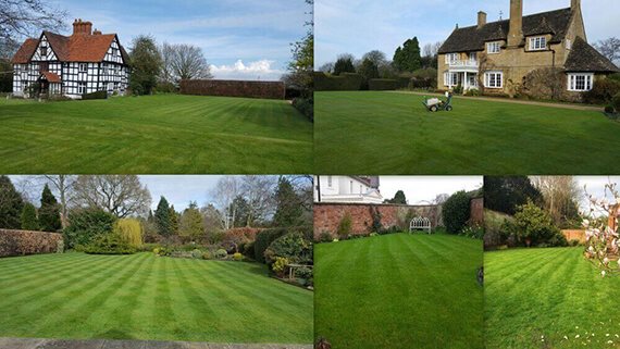 A Collage Of Spring Lawns !