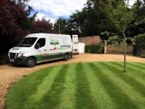 Why You Should Consider Using a Professional Lawn Treatment Company