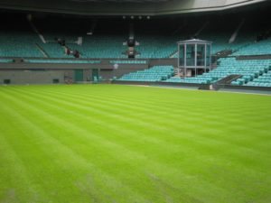 Wimbledon 2016: What goes in to making the perfect court