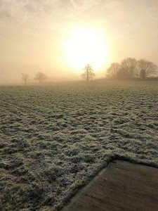 Enjoying your Garden this Winter