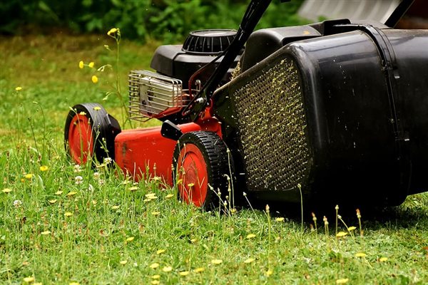 Lawn Mowing in the Winter